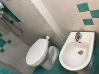 IMG_4273.jpeg